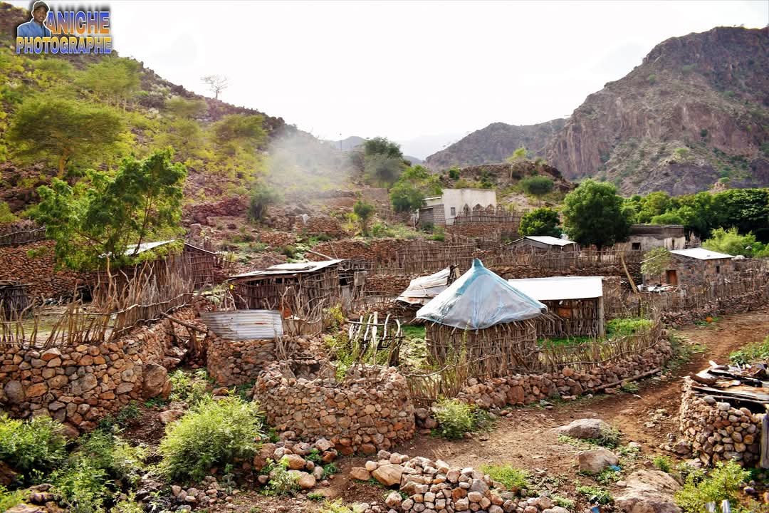 travel to djibouti; Djibouti travel agency Abourma Rock Art , djibouti 7 day tour, guide, Horn of Africa tours Djibouti travel itinerary guided tours in Djibouti