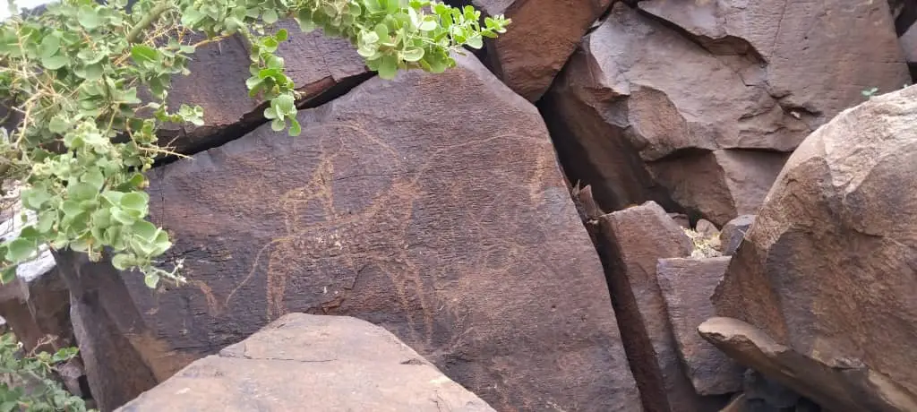 Abourma Rock Art , djibouti 7 day tour, guide, Horn of Africa tours , Djibouti travel itinerary , guided tours in Djibouti,Djibouti rock carvings, prehistoric petroglyphs in Djibouti cultural heritage of Djibouti, Djibouti historical sites, Djibouti archaeology, Horn of Africa archaeology ;Tours Packages in Djibouti; 7 Day Djibouti Tours