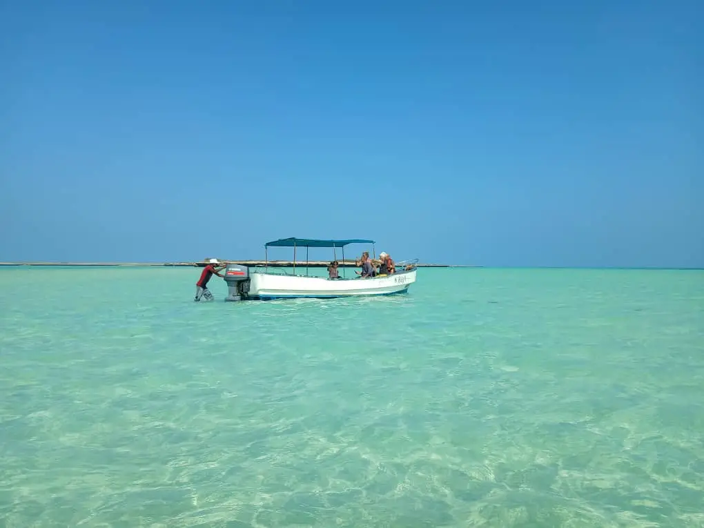 Djibouti Best destination MOUSHA ISELAND THING TO DO IN DJIBOUTI Djibouti best destinations east africa , Abourma Rock Art , djibouti 7 day tour, guide, Horn of Africa tours, Djibouti travel itinerary, guided tours in Djibouti , djibouti trips ; Djibouti Tour Packages ; Djibouti travel packages Best tours in Djibouti Djibouti adventure tours djibouti trips snorkeling mousha island Snorkeling Moucha Island coral reef view Djibouti snorkeling tour lunch on the beach Snorkeling at Moucha Island coral reefs during 2-day Djibouti trip Crystal-clear waters at Moucha Island with snorkeling gear Tourists relaxing on Moucha Island beach with picnic lunch